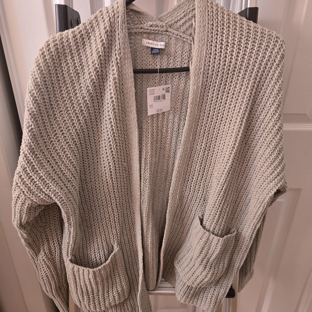 American Eagle Outfitters Sage Green Cardigan